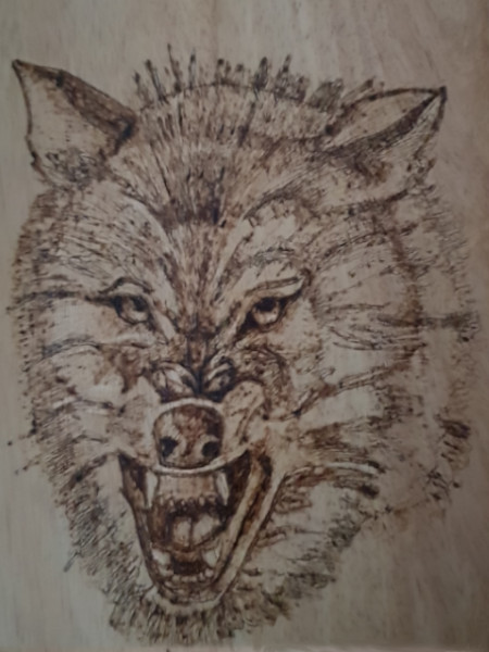 Brandmalerei Galerie - Wolf
