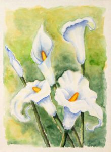 Aquarell Callas